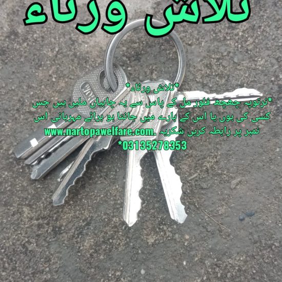 IMG-20230317-WA0001