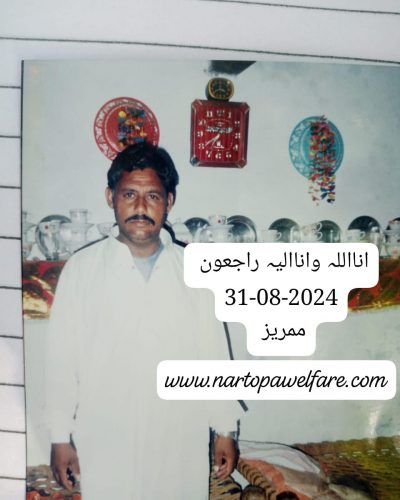 IMG-20240831-WA0051
